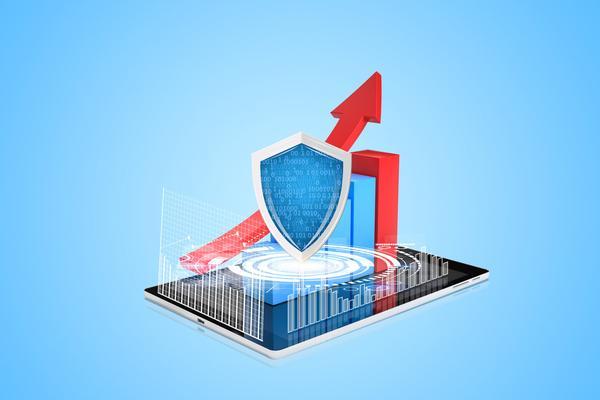 绳网乐园品牌建设项目：打造刺激与安全的户外娱乐新体验图1
