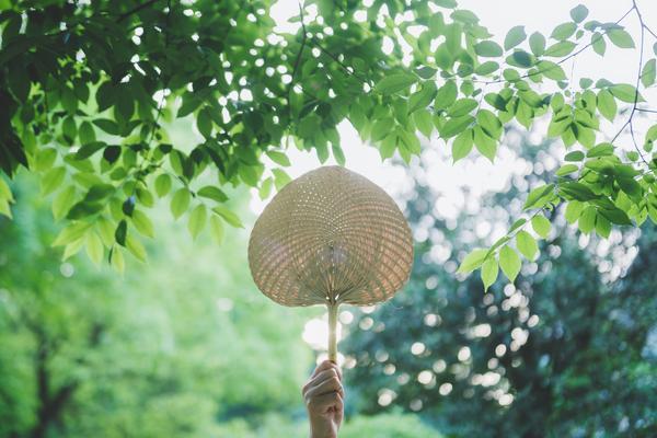 创新思维在现代旅游管理项目中的实践与应用 图1