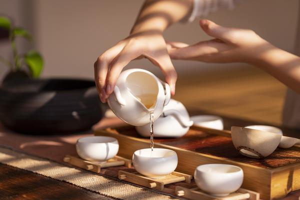 宠物烘焙：自制宠物食品创业项目方案 图1