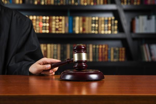 商业计划书可行性报告：项目实施策略与预期收益分析图1