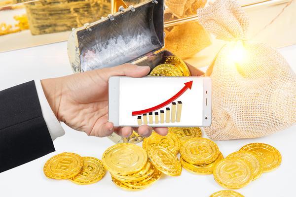 私募基金管理项目风险评估与控制图1