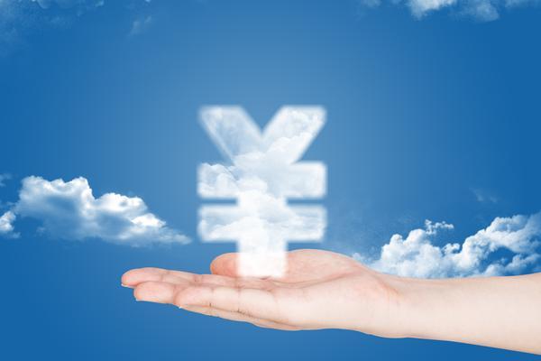 项目全生命周期管理的含义-项目融资与可持续发展 图1
