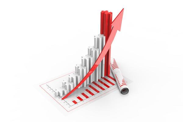 私募基金投资项目选择与优化策略 图1