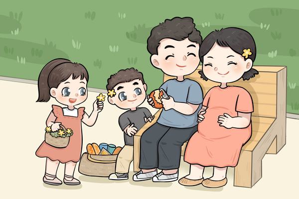 13ProMax京东自营白条免息政策深度解析 图1